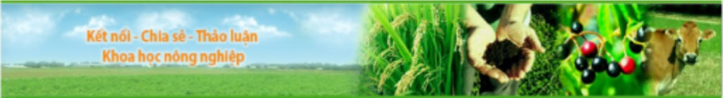 bannerAds